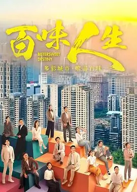 雾港迷踪